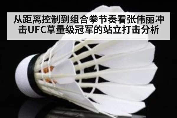 从距离控制到组合拳节奏看张伟丽冲击UFC草量级冠军的站立打击分析