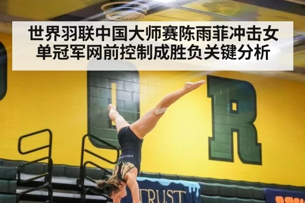 世界羽联中国大师赛陈雨菲冲击女单冠军网前控制成胜负关键分析